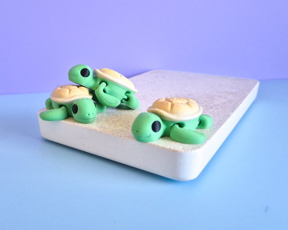 Turtles