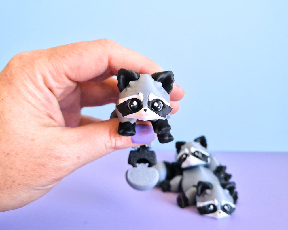 Raccoon
