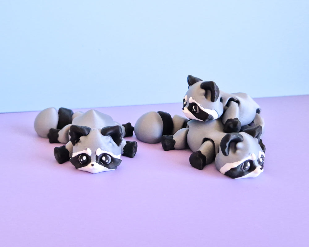 Raccoon