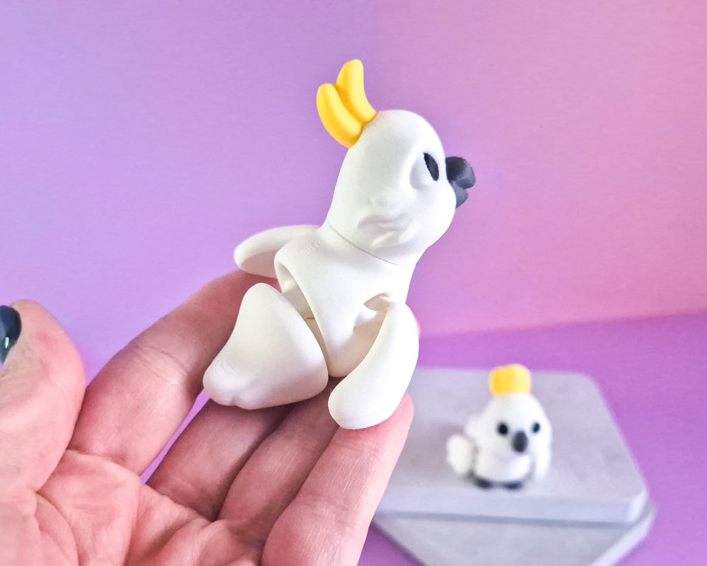 Cockatoo