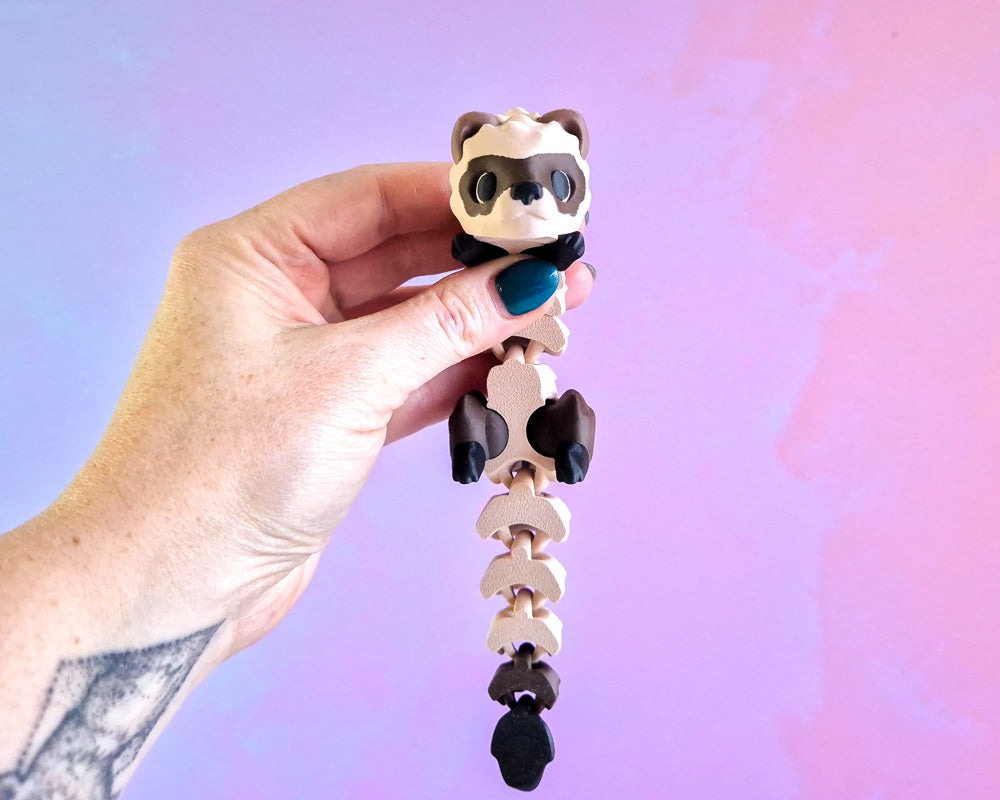 Ferret