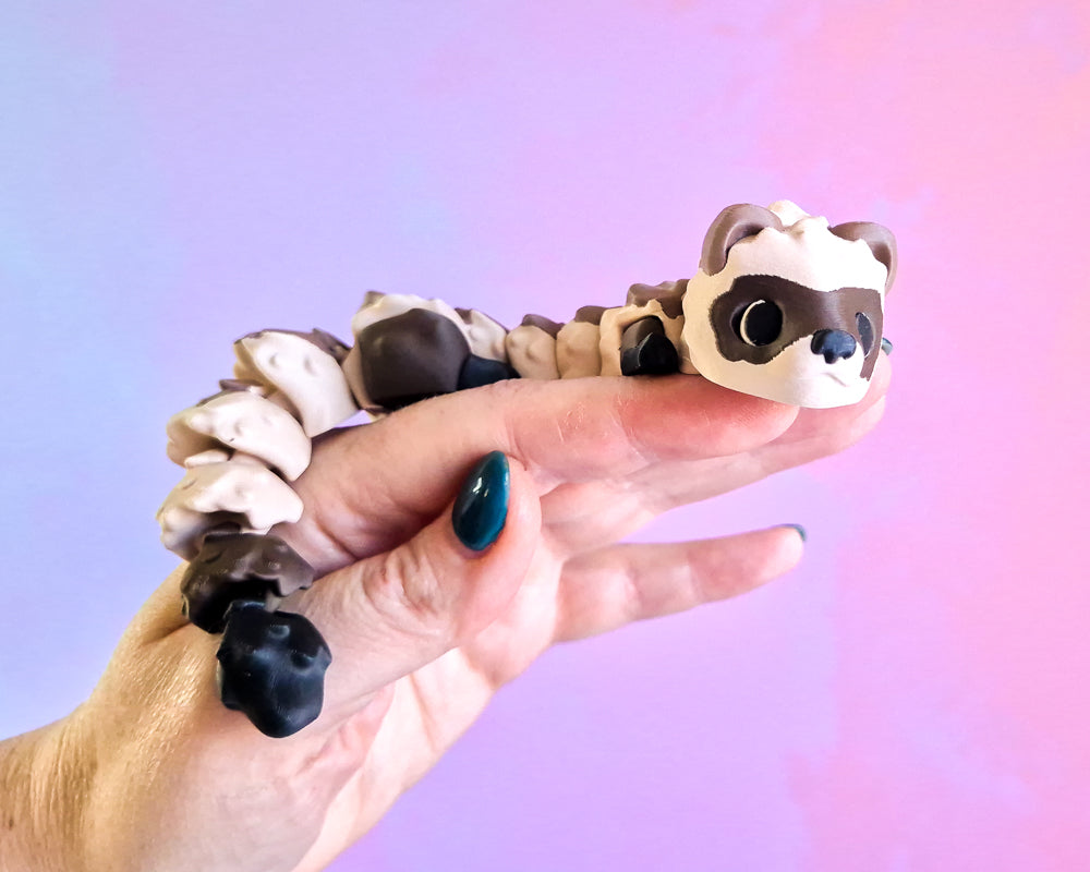 Ferret