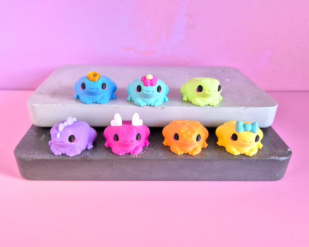 Frog Magnet Set