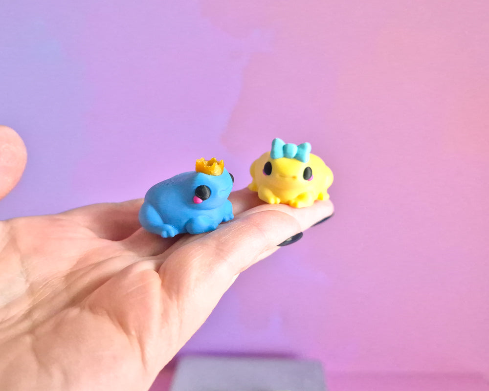 Frog Magnet Set