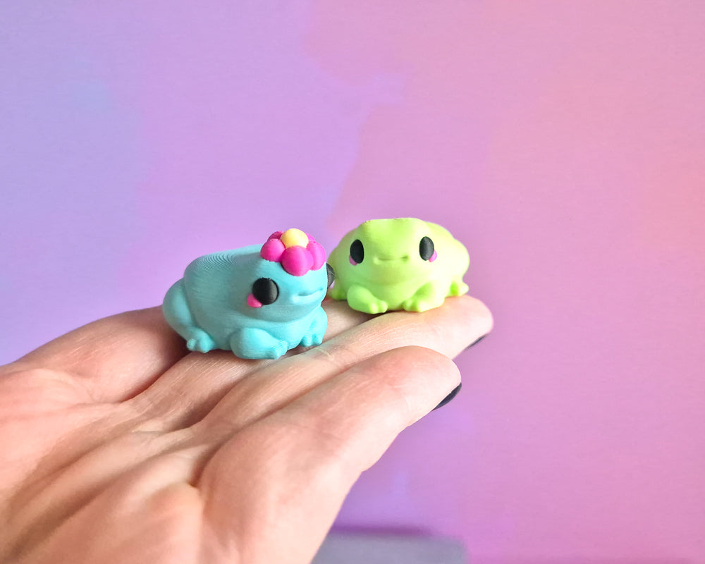 Frog Magnet Set
