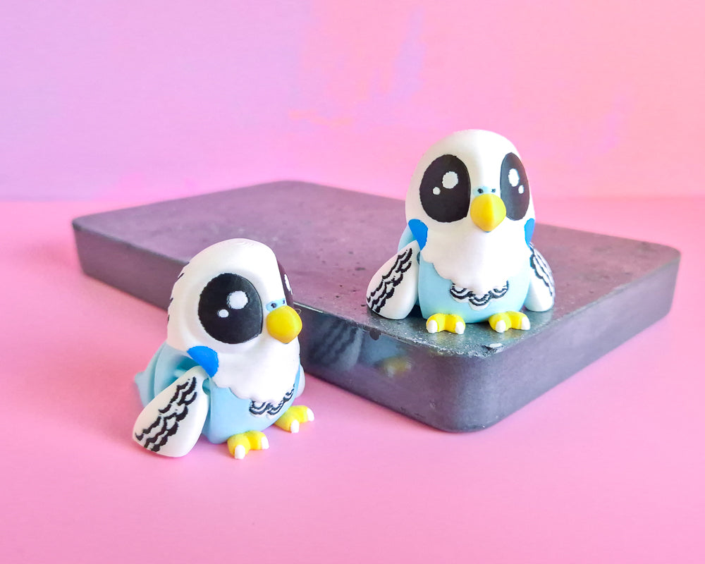 Budgie