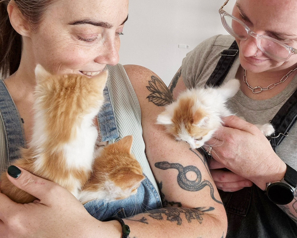 Ginger Kitty Keychain for Charity ❤️