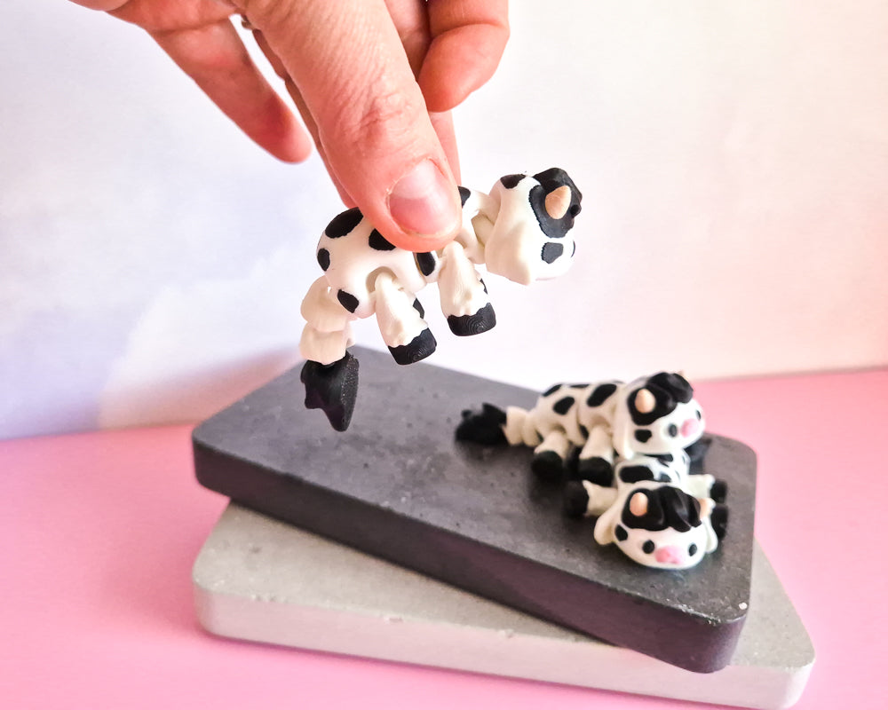 Cow [Friesian]