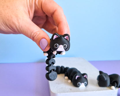Kitty [Tuxedo]