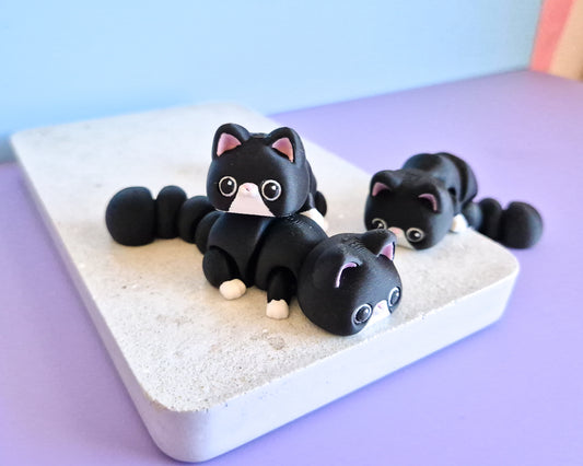 Kitty [Tuxedo]