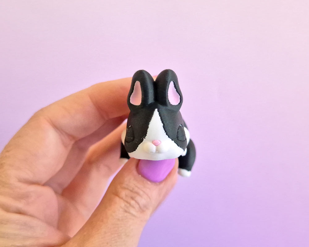 Bunny [Black Dutch]