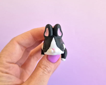 Bunny [Black Dutch]