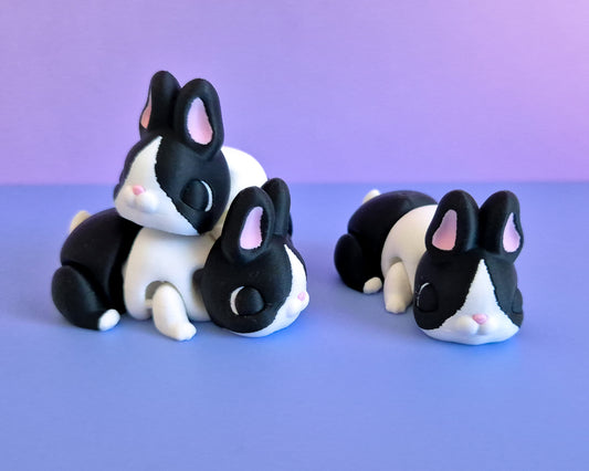 Bunny [Black Dutch]