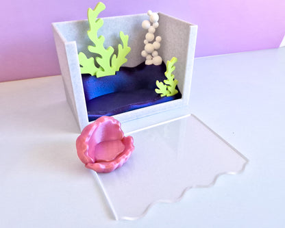 Shrimp Tank