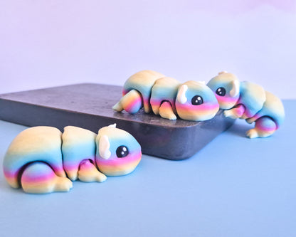 Guinea Pig [Rainbow]