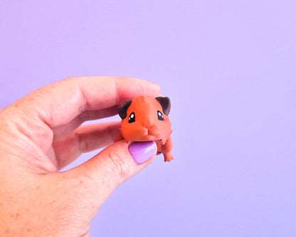 Guinea Pig [Dark Ginger]