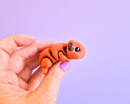 Guinea Pig [Dark Ginger]
