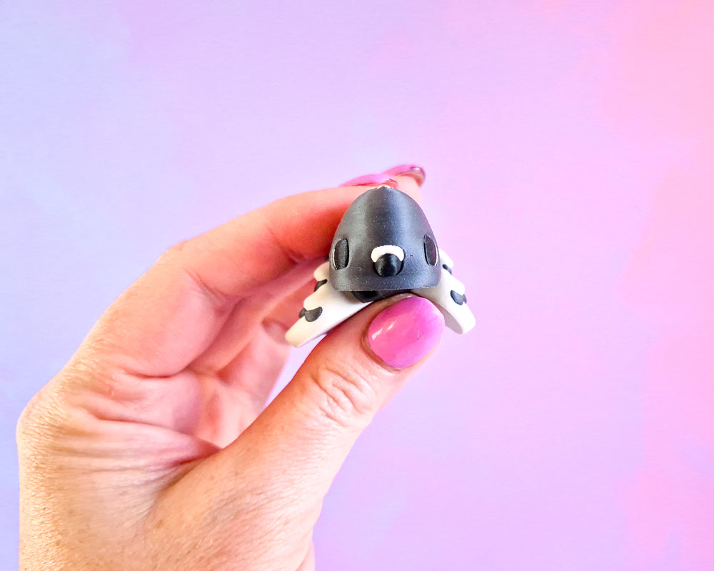 Pigeon [Grey]