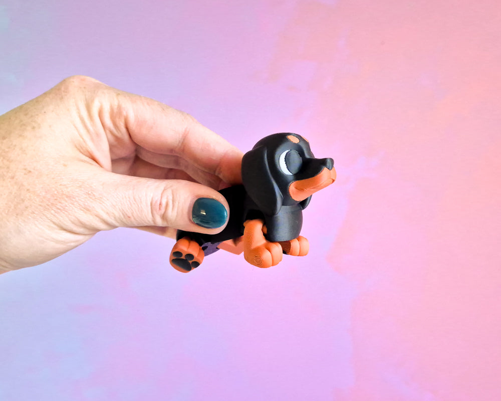 Dog [Dachshund]