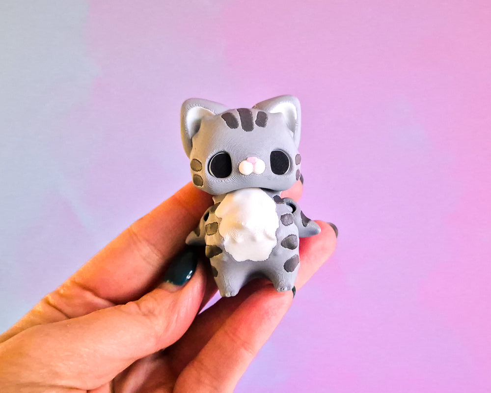 Pixie [Tabby Cat]