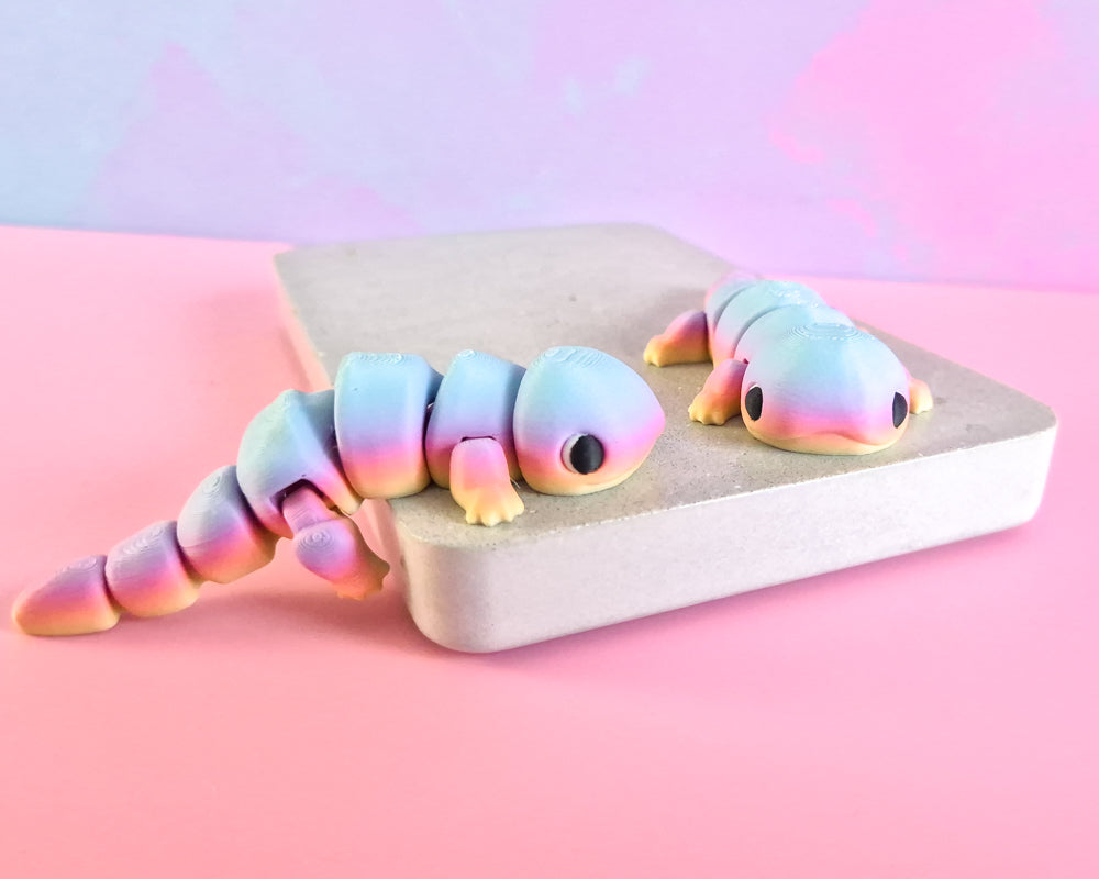 Salamander [Sunset]