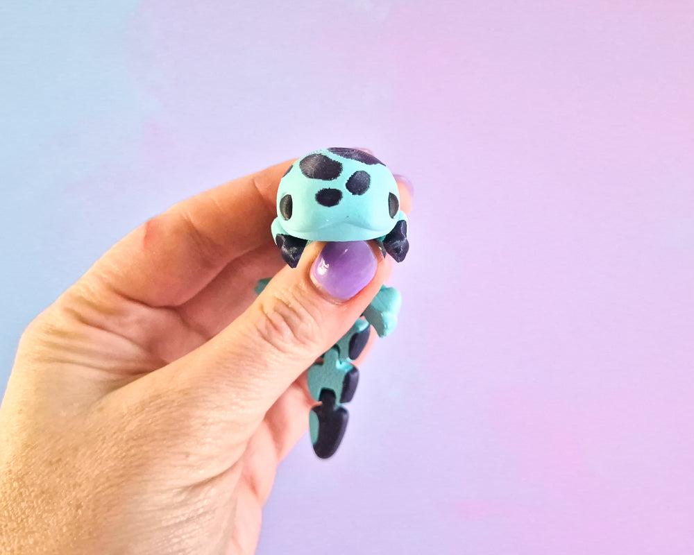Salamander [Aqua]