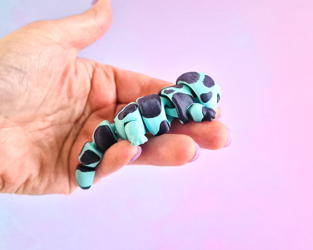 Salamander [Aqua]