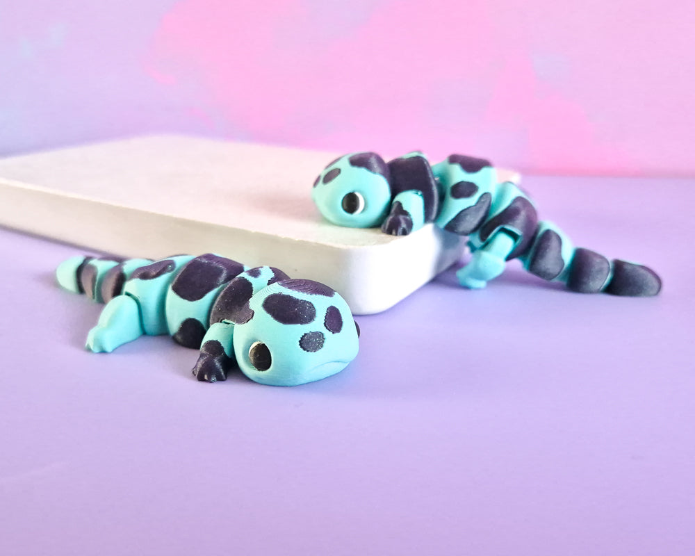 Salamander [Aqua]