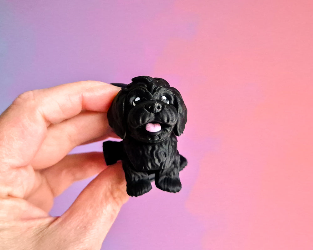Dog [Lil' Black Fluffy]