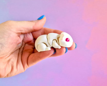 Guinea Pig [White]