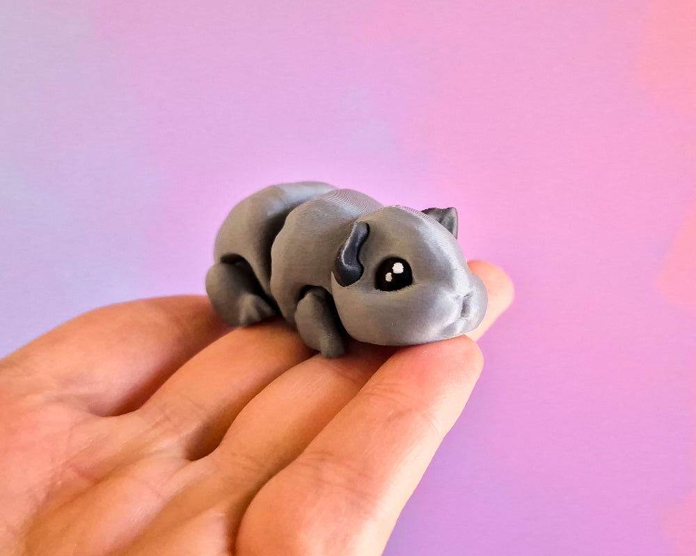 Guinea Pig [Charcoal]