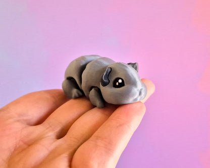 Guinea Pig [Charcoal]