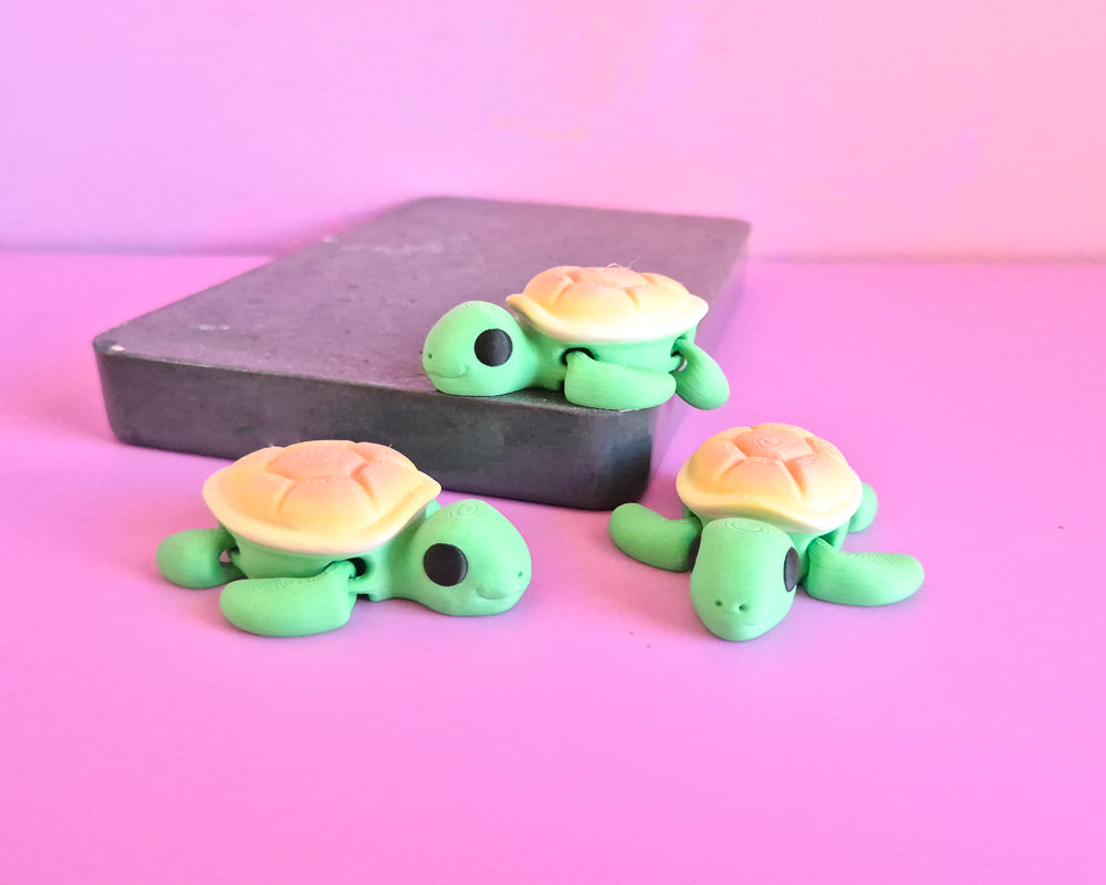 Turtles – Friend Shaped