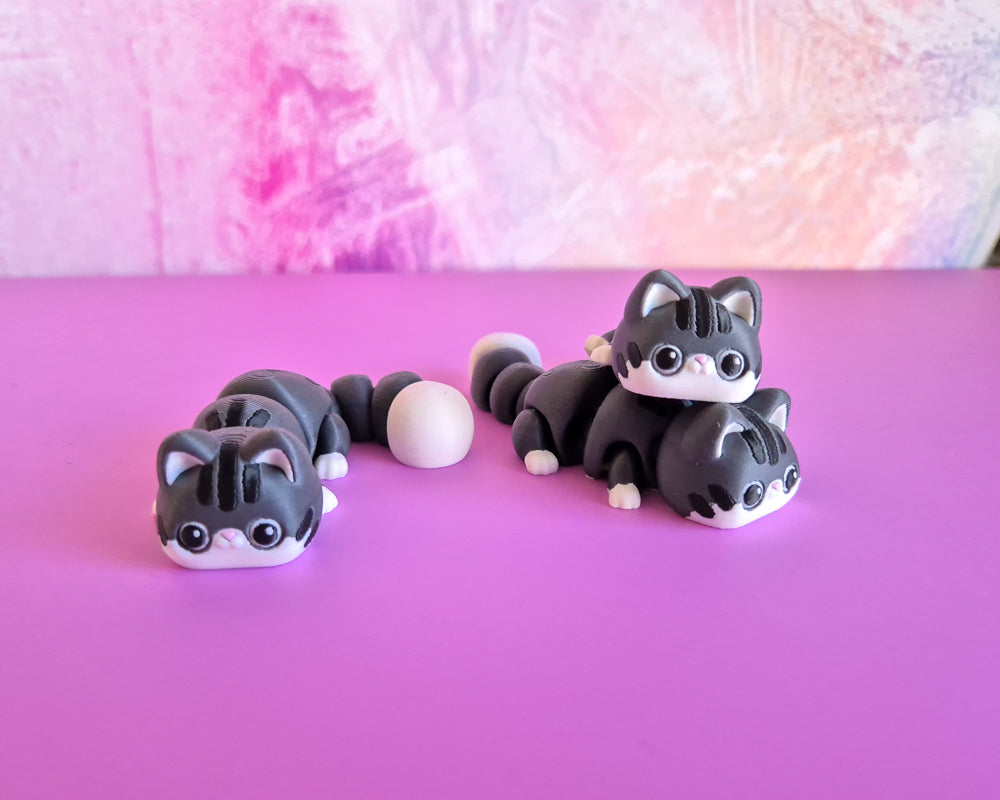 Kitty [Tabby]
