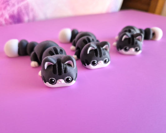 Kitty [Tabby]