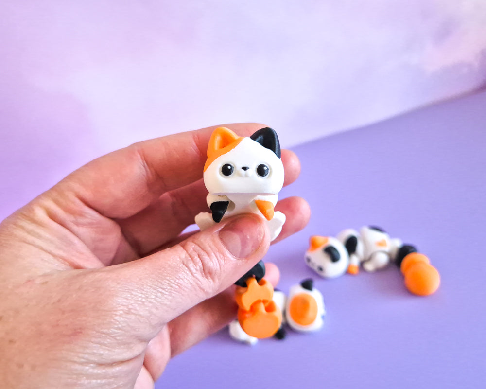 Kitty [Calico]