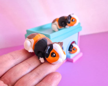 Guinea Pig [Calico]
