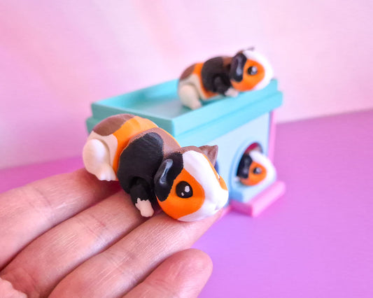 Guinea Pig [Calico]