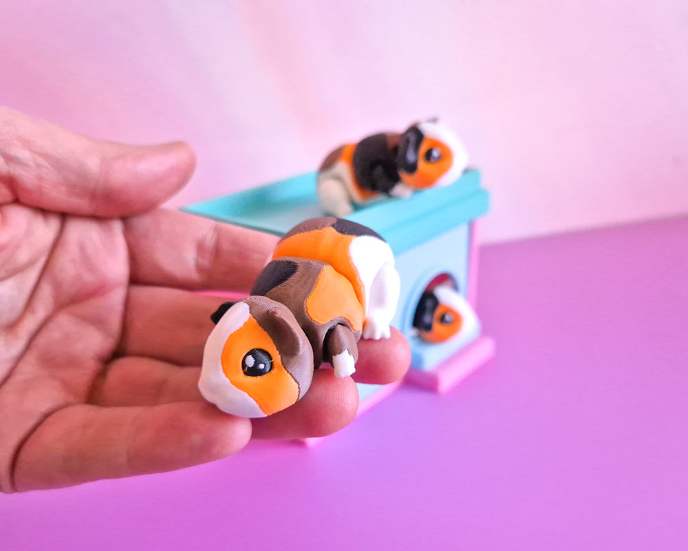 Guinea Pig [Calico]
