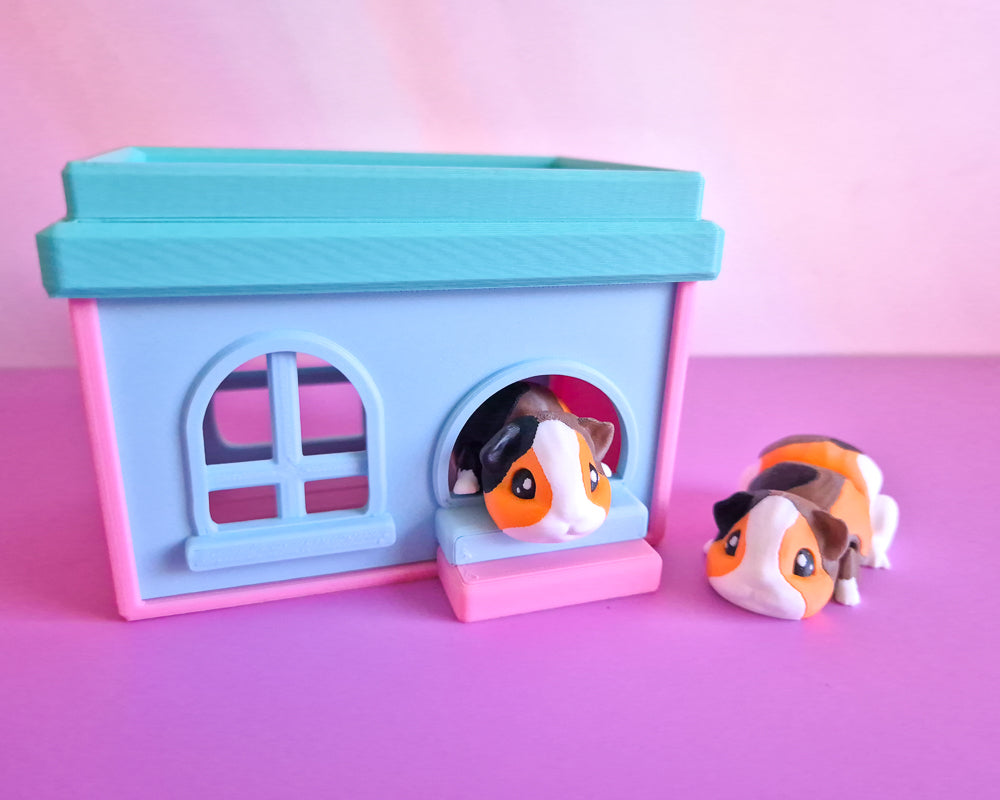 Guinea Pig [Calico]