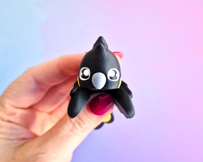 Black Cockatoo [Yellow Tailed]