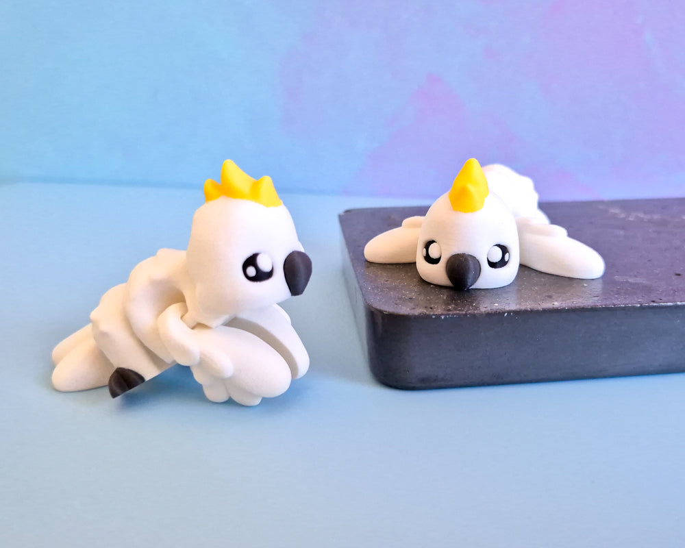 Cockatoo [Sulphur Crested]