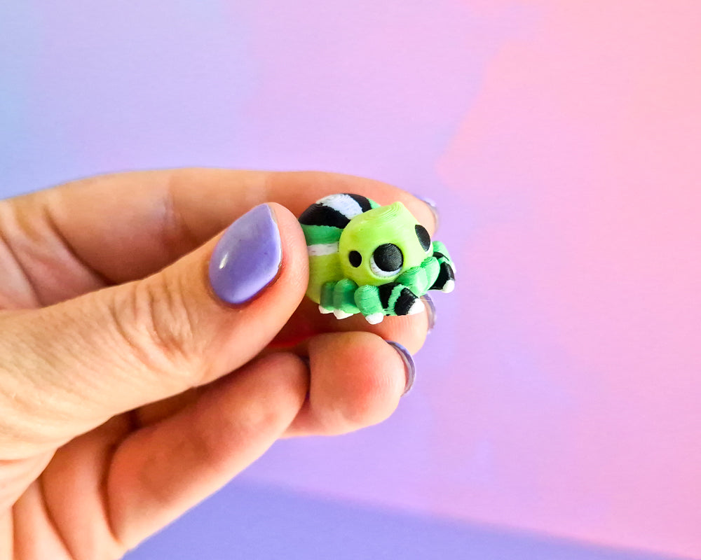Spider Magnet Set