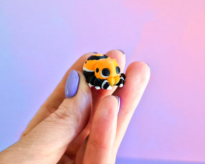 Spider Magnet Set