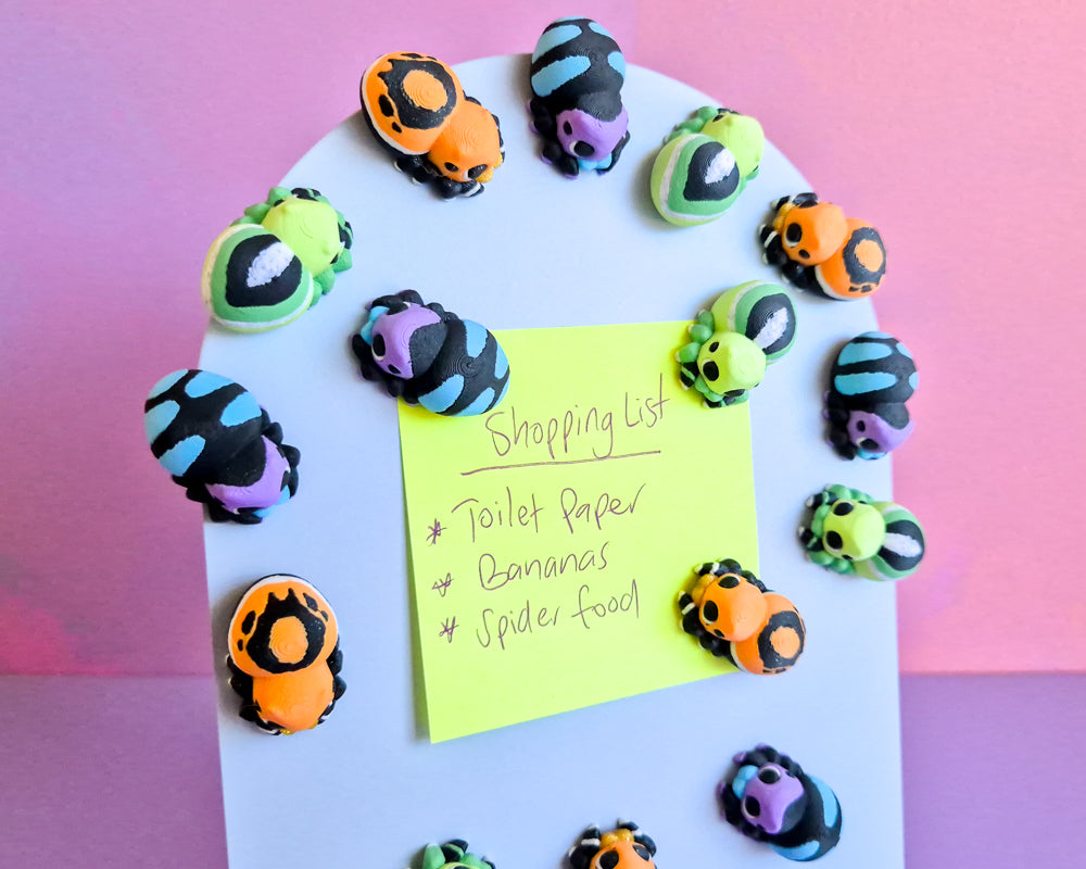 Spider Magnet Set
