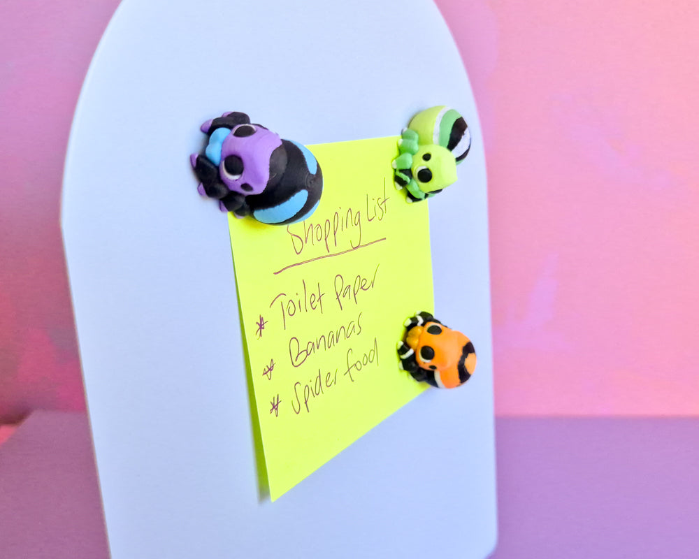 Spider Magnet Set