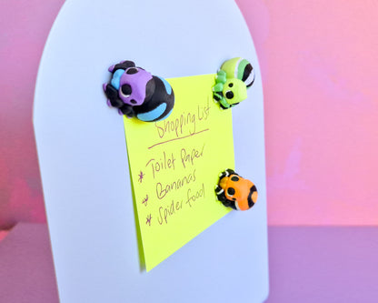 Spider Magnet Set