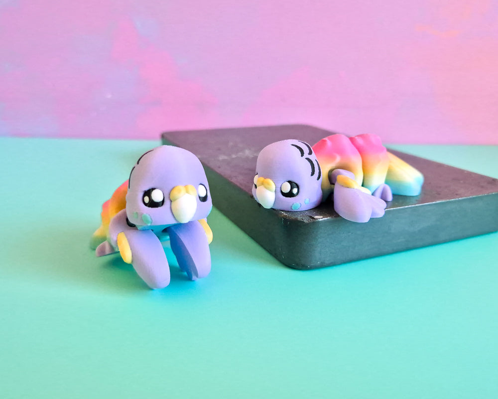 Budgie [Rainbow]