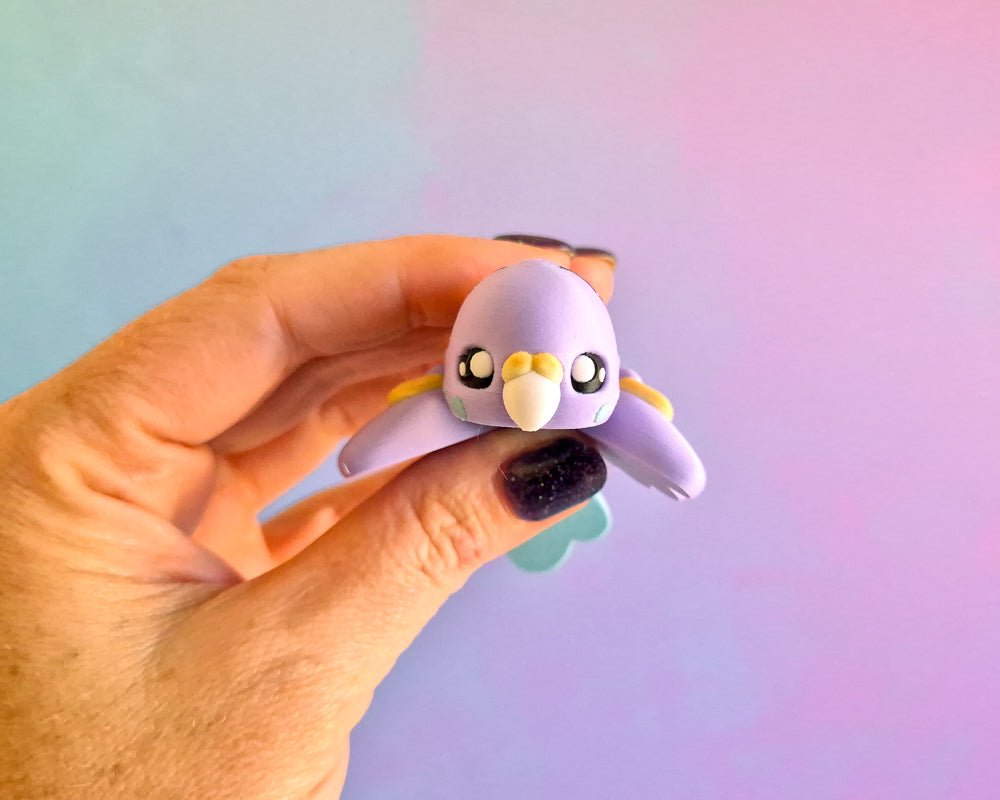 Budgie [Rainbow]