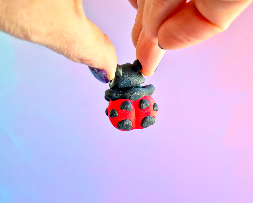 Beetle [Lovebug]